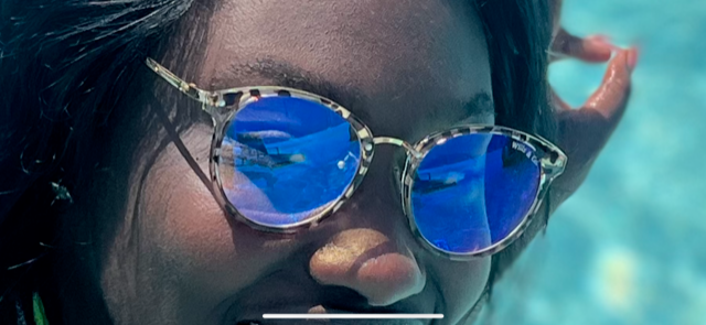 Wills & Co. EYE WEAR "Taxi" (Print Tortoise ) Women