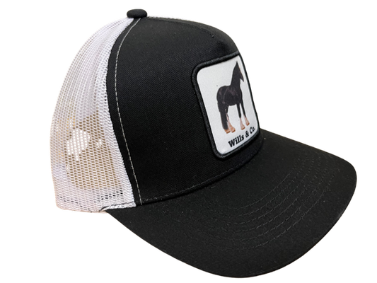 Wills & Co. Clydesdale Trucker